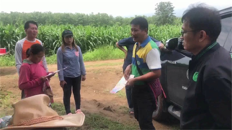 เกษตรจังหวัดพะเยา ติดตามช่วยเหลือเกษตรกรหนอนกระทู้ระบาดข้าวโพด