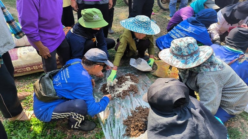 เกษตรนาหมื่นสอนชาวบ้านเรียนรู้การเพาะเห็ดฟางจากวัสดุเหลือใช้ทางการเกษตรเพื่อลดการเผาเศษวัชพืช