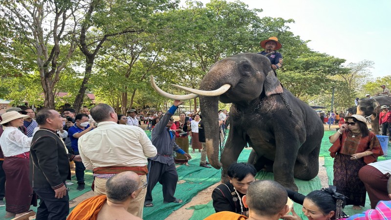 จัดงานเทศกาลสงกรานต์ช้างโลก ครั้งที่ 1 เอกอัครราชทูตฮังการีประจำประเทศไทยกล่าวต้อนรับ นักแสดงจากต่างประเทศ พร้อมสงกรานต์กับช้าง