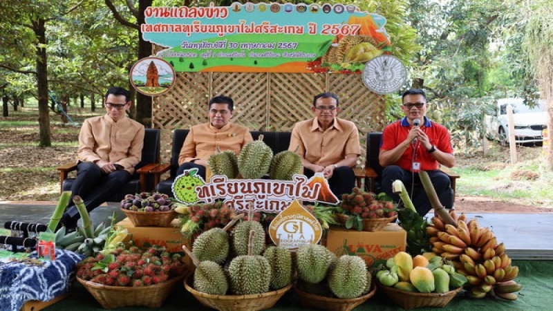 สัมผัสทุเรียนภูเขาไฟแท้ เนื้อเนียนนุ่ม ละมุนลิ้น กลิ่นไม่ฉุน ในงานเทศกาลทุเรียนภูเขาไฟศรีสะเกษ ประจำปี 2567 " LAVA Durian SISAKET 2024