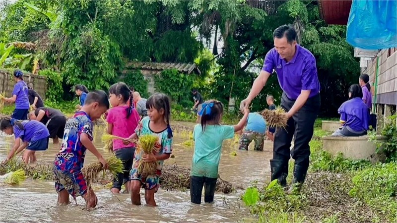 พะเยา โรงเรียนส่งเสริมเรียนรู้ปลูกข้าวแบบดั้งเดิม