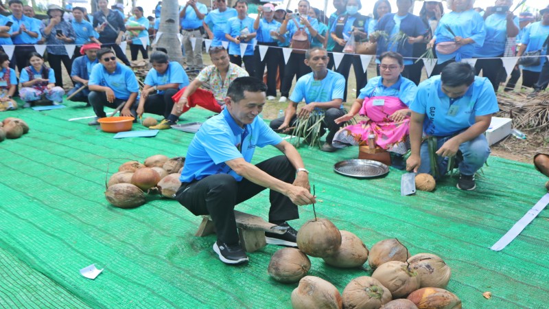 ชุมพร จัดงาน GAP Monkey Free Plus คุณภาพ ยั่งยืน ใส่ใจสิ่งแวดล้อม CHUMPHON COCONUT DAY 9 August