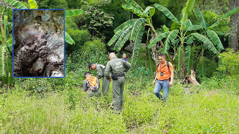 ชาวบ้านหาของป่า พบ "วัตถุคล้ายระเบิด" ในซอกหิน แจ้งชุด EOD ตรวจสอบ