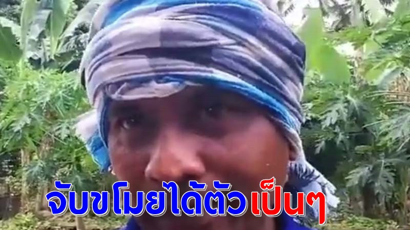 "จ่าสิบเอก" สุดทน! ไก่ชนหายกว่า 30ตัว พบคู่กรณีนอนติดอวนรอช่วยเหลือ (คลิป)