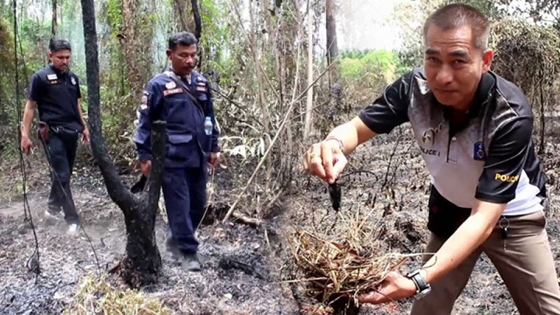 สลดลูกนกดับคารัง! จนท.เร่งเอาผิด รุกเผาป่าพรุ ควันไฟท่วมอำเภอ ชาวบ้านเดือดร้อน