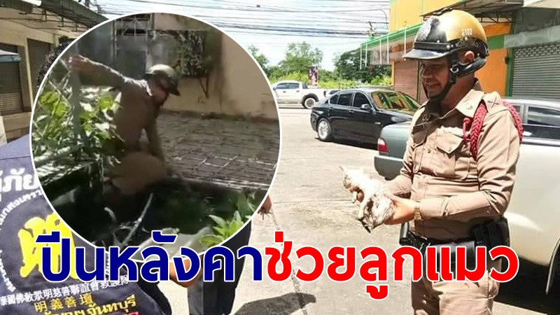 ตำรวจ-กู้ภัยเมืองจันท์ ปีนหลังคา เสี่ยงชีวิตช่วยลูกแมวติดซอกตึก (ภาพ)