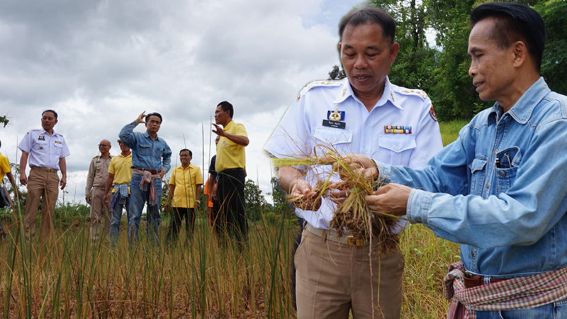 "ครูแก้ว" รองประธานสภาฯ นำคณะช่วยชาวนา หลังพบนาข้าว 5 หมื่นไร่ขาดน้ำ