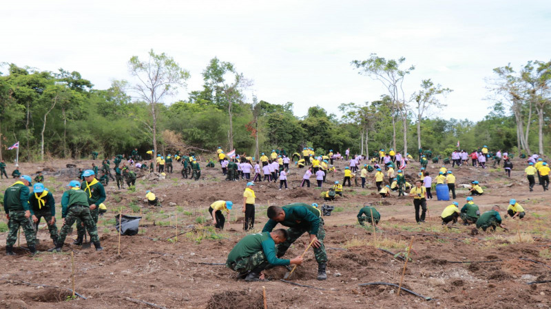 กรมทหารราบที่ 19 ค่ายสุรสีห์ ร่วมใจเป็นหนึ่งปลูกป่าเฉลิมพระเกียรติ