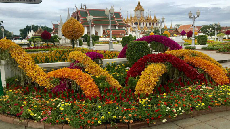 กทม.เชิญชวนประชาชนชมความสวยงามของการตกแต่งไม้ดอก ไม้ประดับ กว่า 200,000 กว่าต้น ตั้งแต่วันนี้ไปถึงกลางเดือนสิงหาคม !!