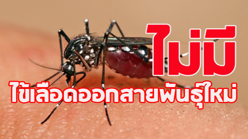 กรมควบคุมโรค ย้ำไทยไม่มีไข้เลือดออกสายพันธุ์ใหม่ แนะช่วงนี้มีฝนตกขอประชาชนใช้มาตรการ 3 เก็บ ป้องกัน 3 โรคอย่างต่อเนื่อง