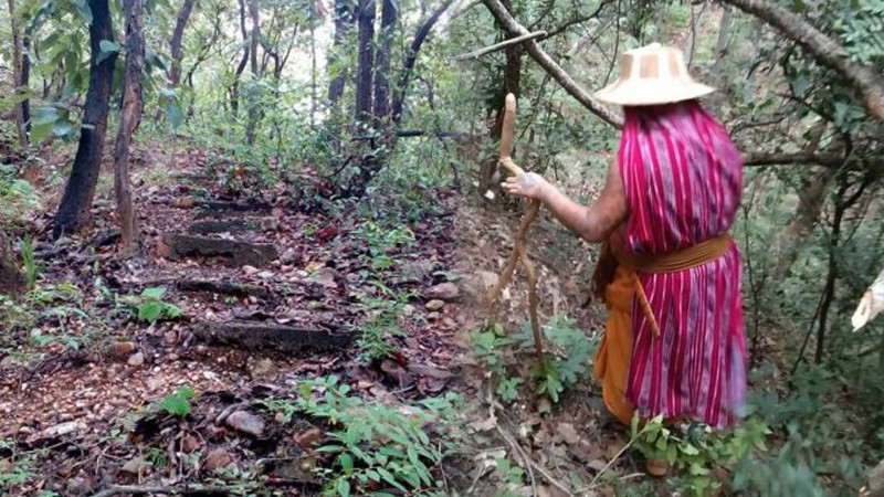"พระธุดงค์" ปลีกวิเวกในช่วงเข้าพรรษา แวะสำนักสงฆ์กลางป่า พบสมบัติล้ำค่าสมัยโบราณ (ภาพ)