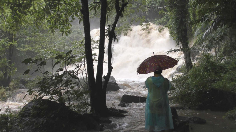 ฝนตกหนักเทือกเขาบรรทัด เจ้าหน้าที่เร่งเฝ้าระวัง-แจ้งเตือนนทท.น้ำตกทุกแห่ง