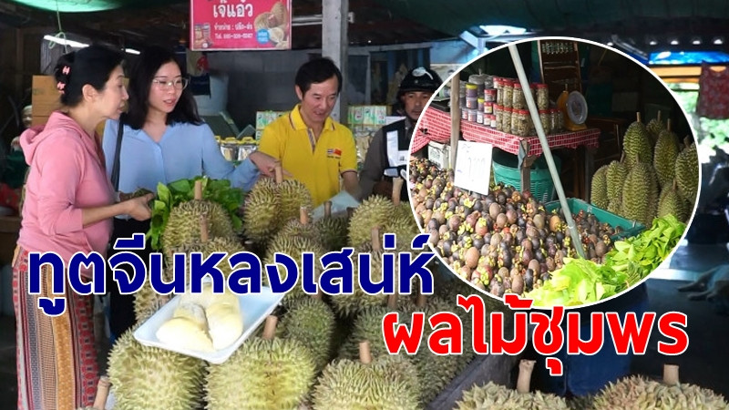 "ทูตจีนหลงเสน่ห์" ผลไม้ชุมพร สั่งขบวนหยุดซื้อตลาดริมทาง