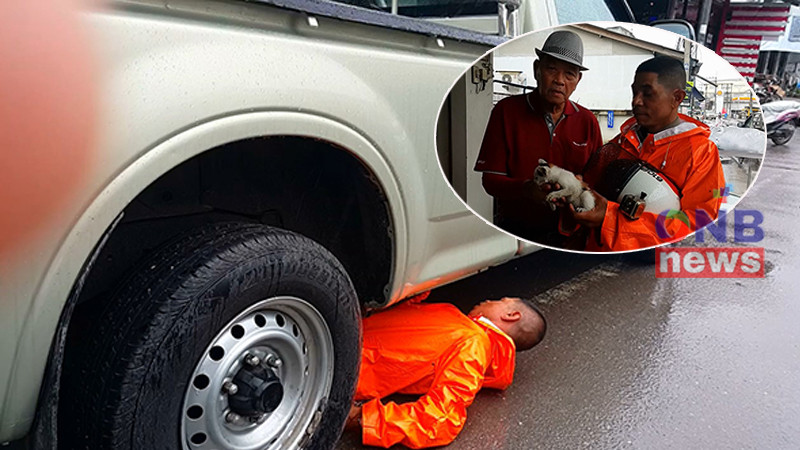 "หนุ่มตำรวจจราจร" น้ำใจงาม ช่วยลูกแมว 3 สี ติดใต้ท้องรถกระบะเศรษฐี