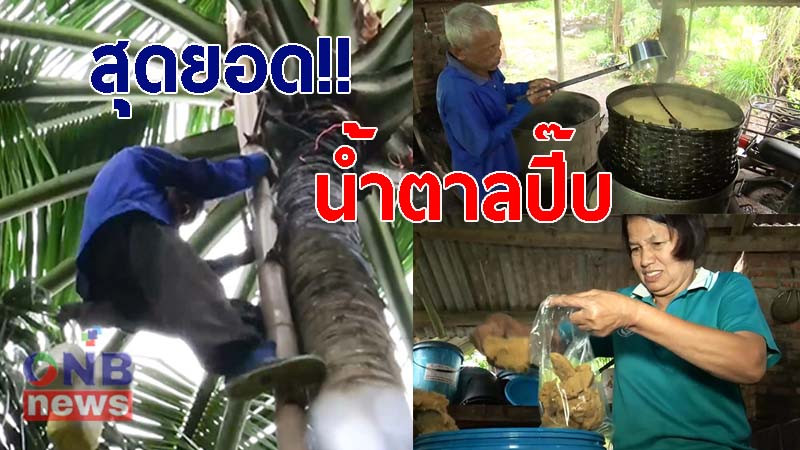 สุดยอด!! 2 สามีภรรยาชุมพร "ทำน้ำตาลปี๊บ" จากน้ำมะพร้าว เผยกรรมวิธีการผลิตทุกขั้นตอน