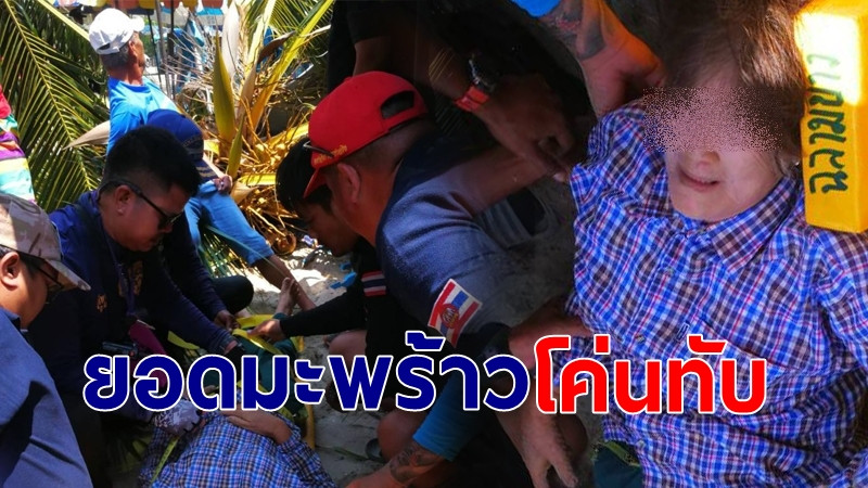 บางแสนลมแรง "ยอดมะพร้าว" ริมหาดโค่นทับยายขายขนุนหาบเร่