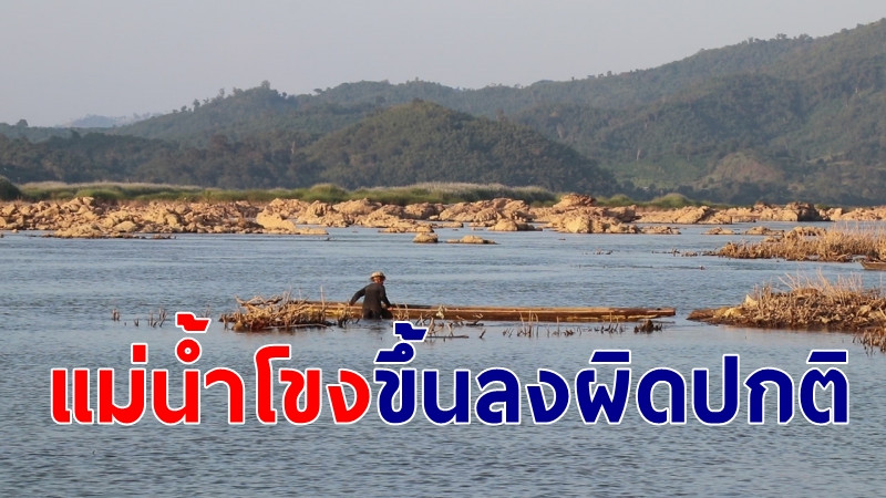 ​​​​​​​เลยส่อแล้งหนัก "น้ำโขงลดฮวบ" สันดอนทรายโผล่ยาวกว่า 50 กม. ชาวบ้านแห่จับปลา