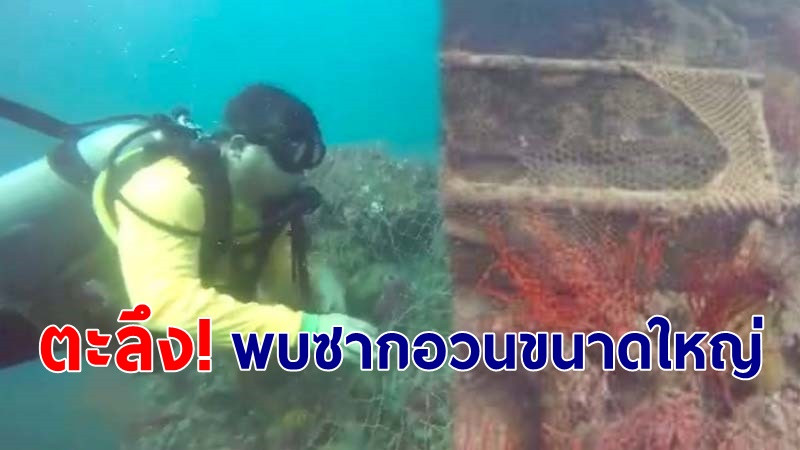 นักดำน้ำ พบซากอวนขนาดใหญ่คลุมหินปะการัง จ.กระบี่