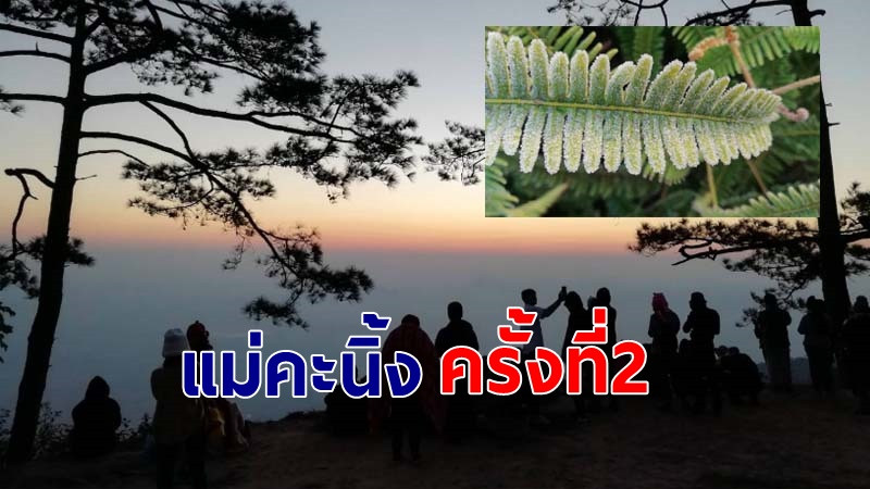 ภูกระดึงเกิดแม่คะนิ้งครั้งที่ 2 อุณหภูมิ -2 องศาฯ