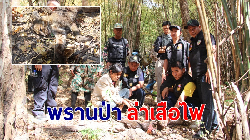 จับพรานป่าพร้อมอาวุธปืนลูกซองยิงเสือไฟในเขตรักษาพันธุ์สัตว์ป่า จ.ราชบุรี