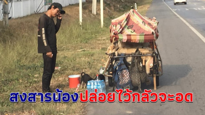 นับถือหัวใจพี่เลย พบชายเข็นพาสุนัข 3 ตัวเดินร่อนเร่ข้างถนน แกเล่าเจอน้องระหว่างทาง กลัวจะอดเลยต้องพามาด้วย