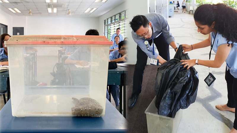 "งูเหลือม" บุกโรงเรียน ครูจับยัดลงกล่อง ก่อนนำมาเป็นสื่อการสอน !
