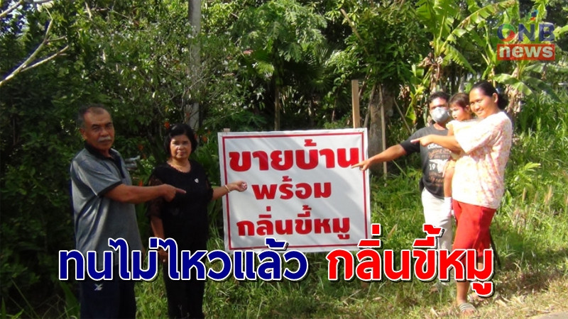 ชาวกระบี่ทนไม่ไหวกับกลิ่นขี้หมู ขึ้นป้ายประกาศขายบ้าน