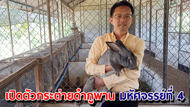 "ศูนย์ศึกษาการพัฒนาภูพาน" เปิดตัวกระต่ายดำภูพาน มหัศจรรย์ที่ 4