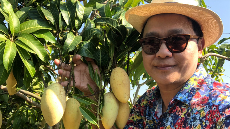 ททท.แปดริ้ว เชิญเที่ยวงาน Mango Eco Create : มหกรรมมะม่วงปลอดสาร แสนหวาน ที่รวบรวมของดี ปั้นให้เด่น เน้นเอกลักษณ์