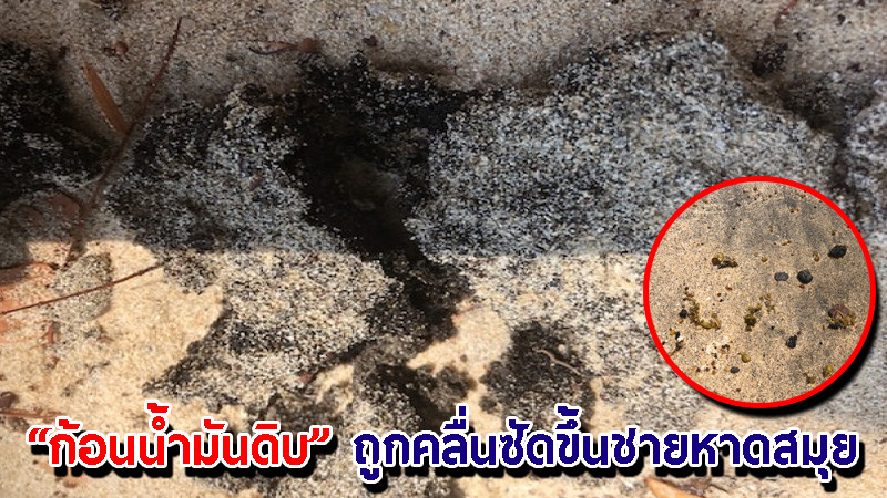 พบ "ก้อนน้ำมันดิบ" ถูกคลื่นซัดขึ้นชายหาดสมุย หวั่นกระทบสิ่งแวดล้อม-ระบบนิเวศและท่องเที่ยว (มีคลิป)