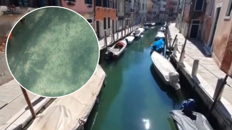 เผยภาพล่าสุด "คลองมหานครเวนิส" ในวันที่ไร้นักท่องเที่ยว น้ำใสไหลเย็นเห็นตัวปลา