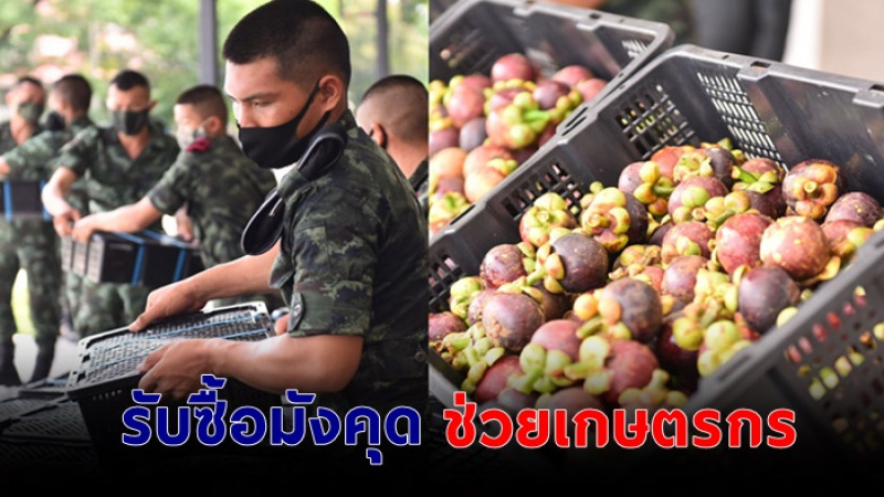 กองทัพภาคที่ 2 รับซื้อมังคุดช่วยเหลือเกษตรกร