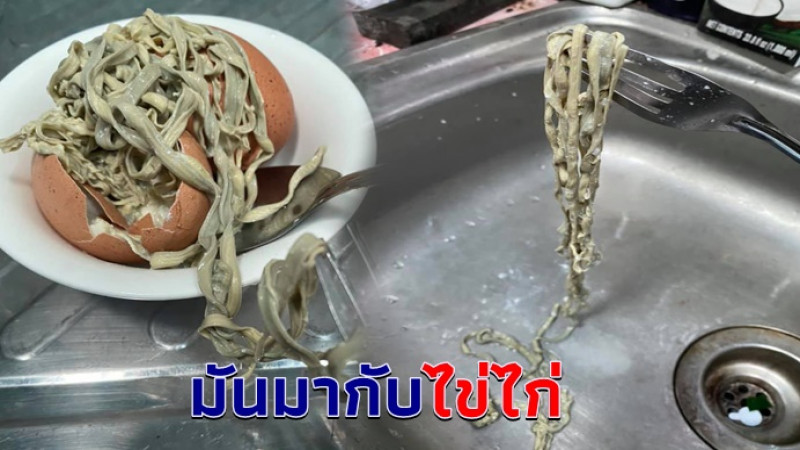 สาวผวา เกิดมาเพิ่งเคยเจอ สิ่งแปลกปลอมคล้ายพยาธิแฝงมากับไข่ไก่ต้ม