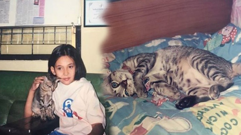 "เบลล่า" โพสต์อาลัย "เจ้าไทเกอร์" แมวสุดรัก ผูกพันกันมา 20 ปี จากเธอไปแล้ว