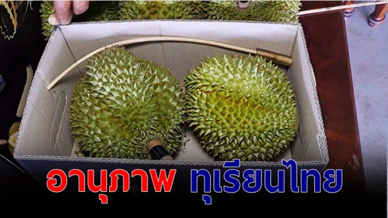 วุ่นทั้งตึก!  "ทุเรียนไทย" ส่งกลิ่น ทำพนักงานไปรษณีย์ที่เยอรมนี เวียนหัว เข้ารพ. 6 ราย อพยพทั้งตึกกว่า 60 คน