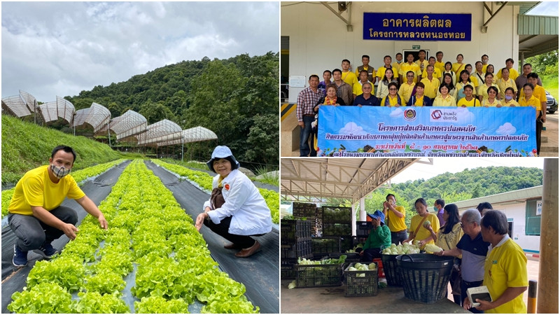 พช.เพชรบูรณ์ ลุยพัฒนาศักยภาพผู้ผลิตสินค้าเกษตร สู่มาตรฐานเกษตรปลอดภัย