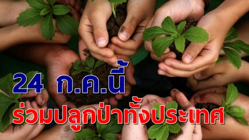 ครม.ชวนปชช.ร่วมปลูกป่าพร้อมกันทั่วประเทศ 24 ก.ค.นี้