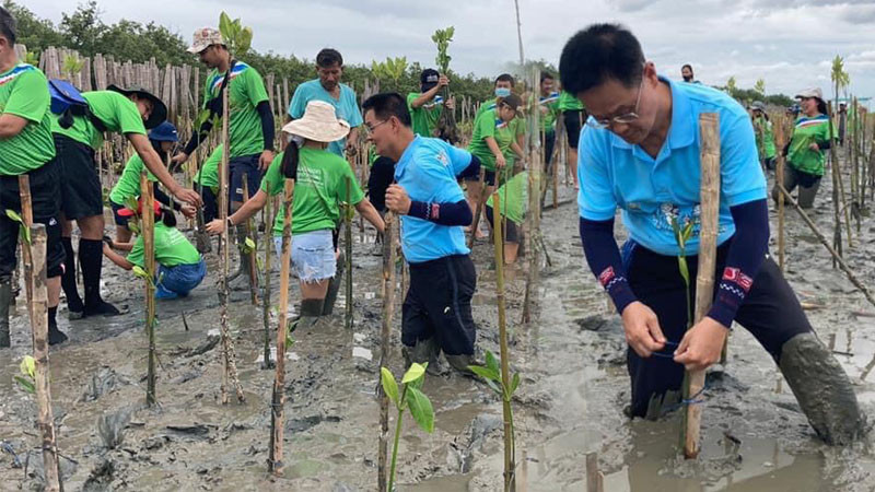 ผู้ว่าฯ สมุทรสงคราม ร่วมกิจกรรมปลูกป่าชายเลน ส่งเสริมการท่องเที่ยวเชิงอนุรักษ์ รร.ธรรมชาติป่าชายเลน