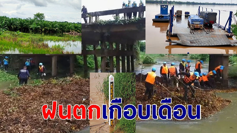 บึงกาฬฝนถล่มหนัก น้ำโขงหนุนสูง นาข้าว-พืชสวนเริ่มจมน้ำ