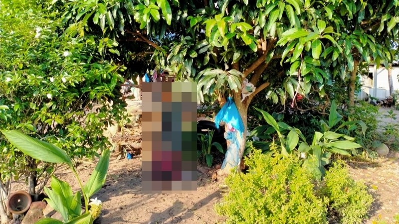 ภรรยาพบสามีผูกคอดับคาต้นมะม่วง หลังบ่นว่าลำบาก รายได้ไม่พอกิน