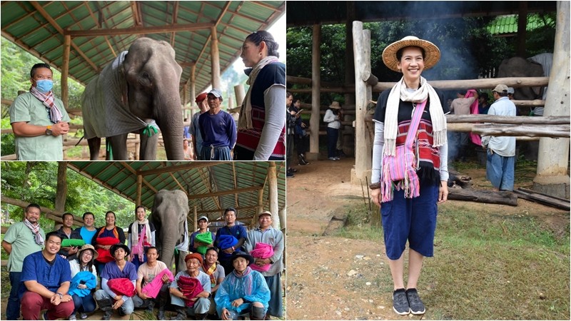 ปางช้างแม่สา เชิญชวนรวมบริจาคในโครงการ "ห่มผ้าห่มให้ช้าง" อนุรักษ์ช้างสัตว์สัญลักษณ์ประจำชาติไทย