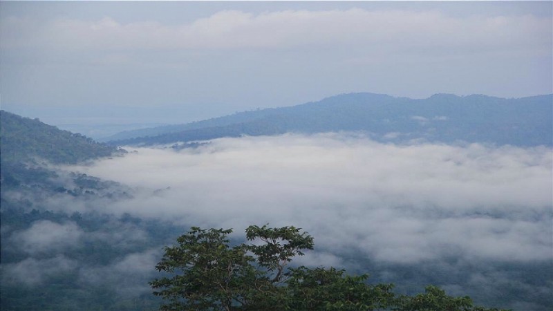 อุตุฯ เตือน ! "ไทยตอนบน" อุณหภูมิลดลง กับมีลมแรง - "ภาคใต้" ฝนตกหนักบางแห่ง