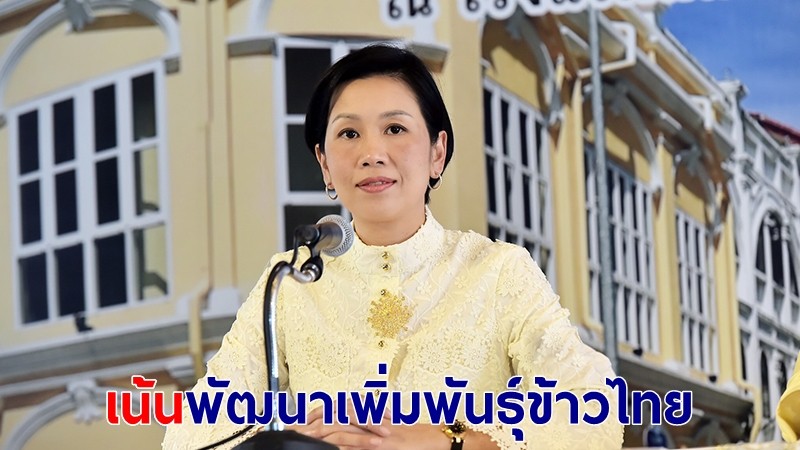 นบข.เคาะ 5 ปี ยุทธศาสตร์ข้าวไทย ตั้งเป้าเป็นผู้นำด้านการผลิต