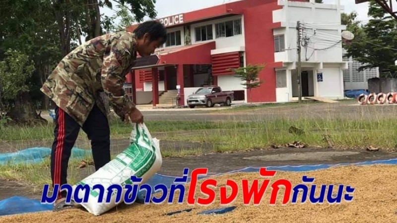 สภ.ทุ่งศรีอุดม ประกาศเปิดพื้นที่ให้ชาวนาตากข้าวหน้าโรงพัก