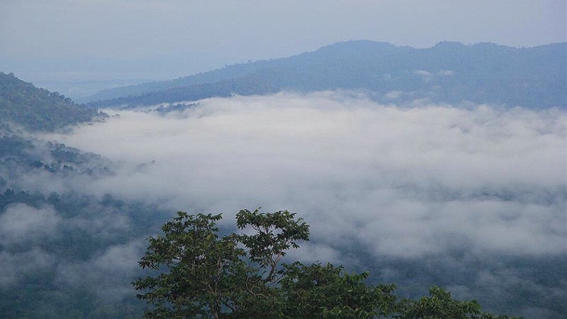 อุตุฯ เผย ! "ไทยตอนบน" อากาศเย็นถึงหนาว - ลมแรง  "ภาคใต้" ฝนตกลดลง