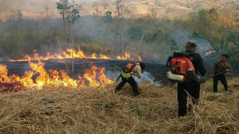 ปภ.แนะประชาชนเรียนรู้การป้องกันไฟป่าอย่างปลอดภัย โดยกำจัดวัสดุที่เป็นแหล่งเชื้อเพลิง