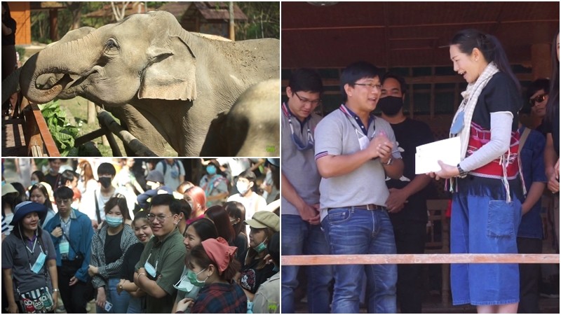 The Chang Story EP.17! ศูนย์การเรียนรู้ ปางช้างแม่สา ต้อนรับนักศึกษา มช.(คลิป)