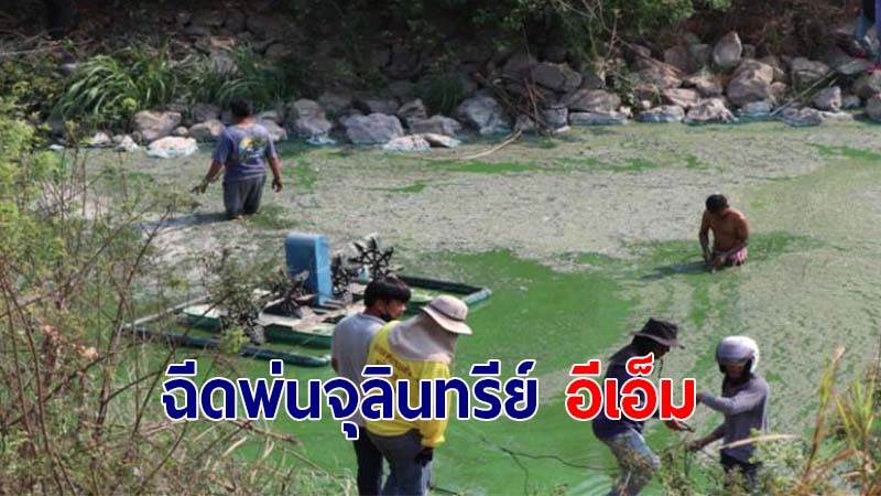 ปลัดเทศบาลเมืองอ่างทอง รุดแก้ปัญหาน้ำเน่าเสียในคลองลำท่าแดง