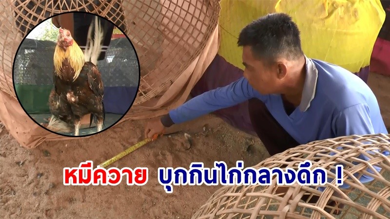 ชาวบ้านผวา ! "หมีควาย" บุกกินไก่กลางดึก 3 คืนติดต่อกัน วอนจนท.เข้าตรวจสอบ !