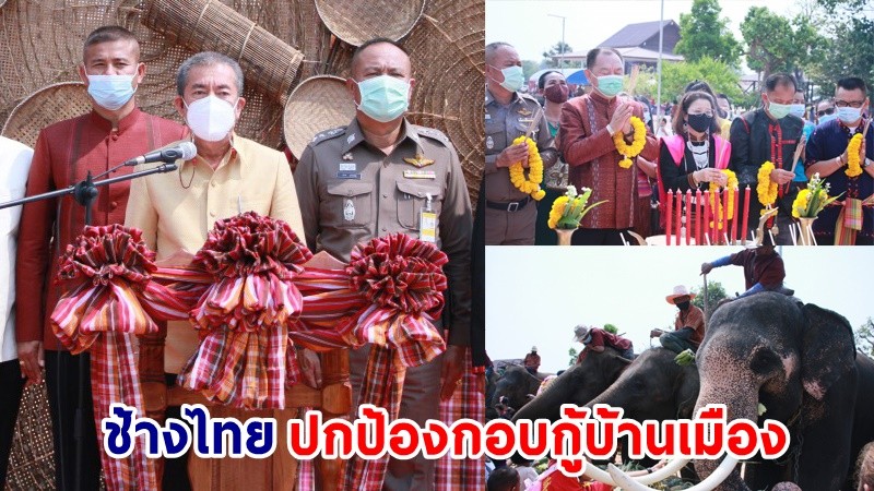 "ผู้ว่าฯสุรินทร์" ประกาศเชิดชูเกียรติช้างไทยปกป้องกอบกู้บ้านเมือง ในวันช้างไทย ประจำปี 2564